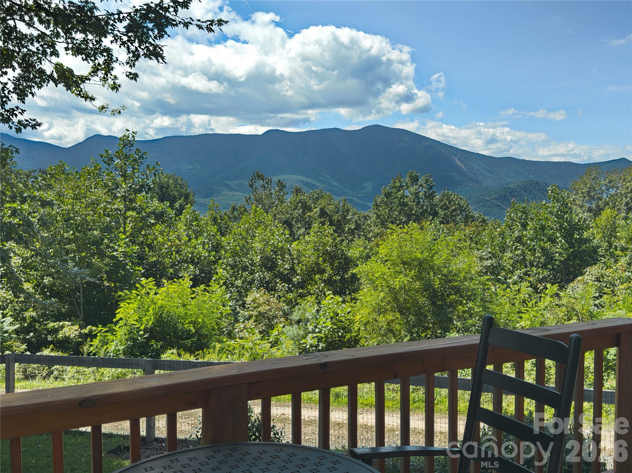1856 Cabbage Patch Road Burnsville, NC 28714 - Photo 7 of 46