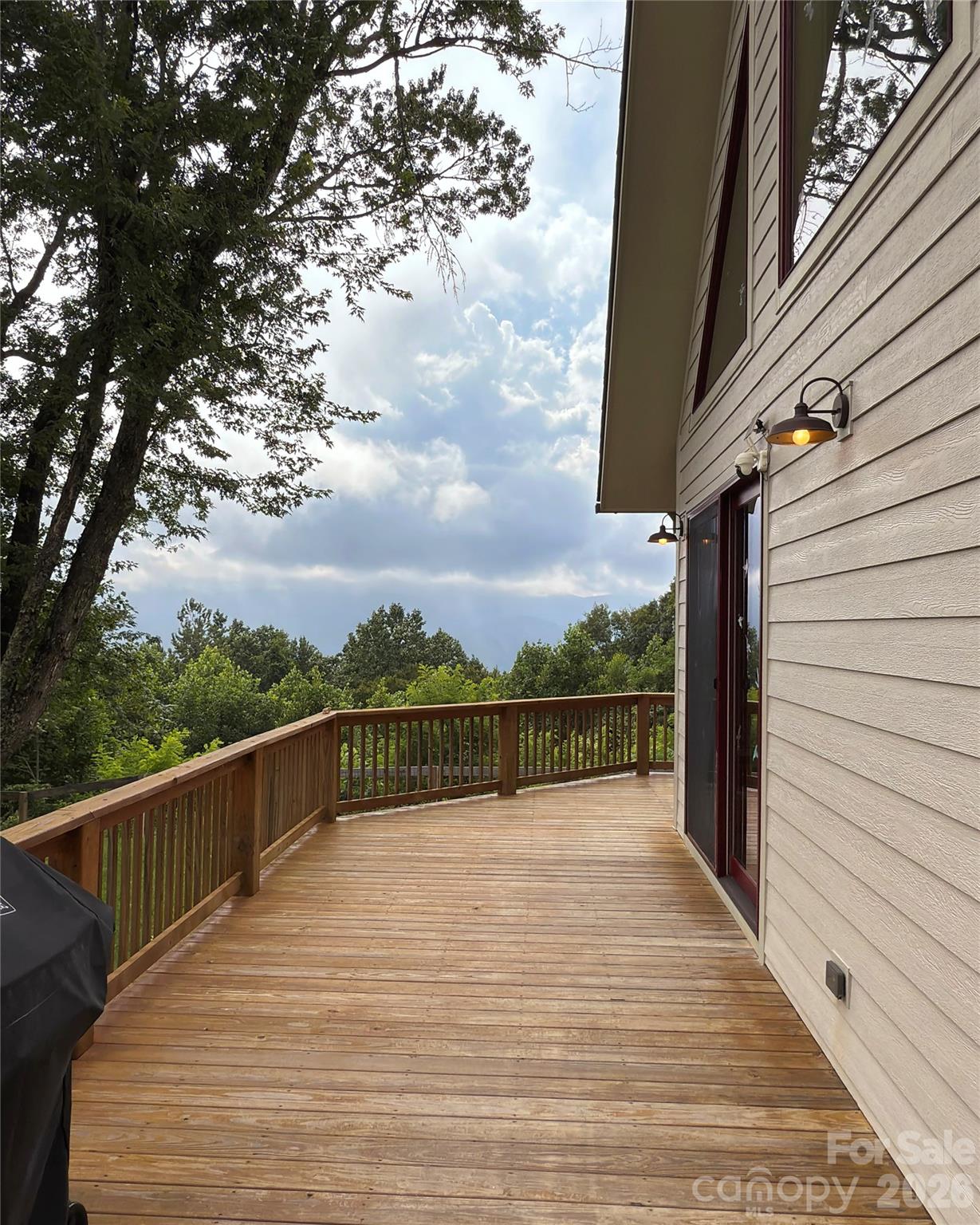 1856 Cabbage Patch Road Burnsville, NC 28714 - Photo 10 of 46