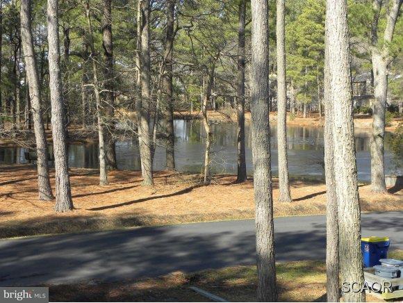 758 B Salt Pond Road, Unit 99 Bethany Beach, DE 19930 - Photo 14 of 24 Gallery Image 14
