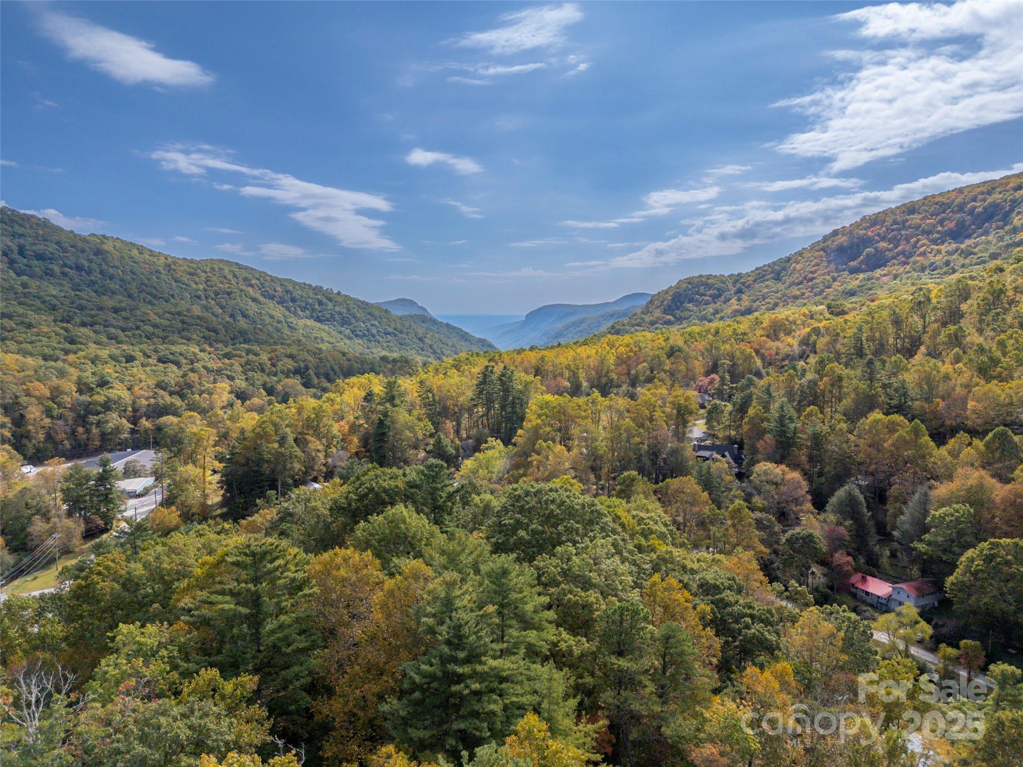 101 Windfall Circle Gerton, NC 28735 - Photo 40 of 48