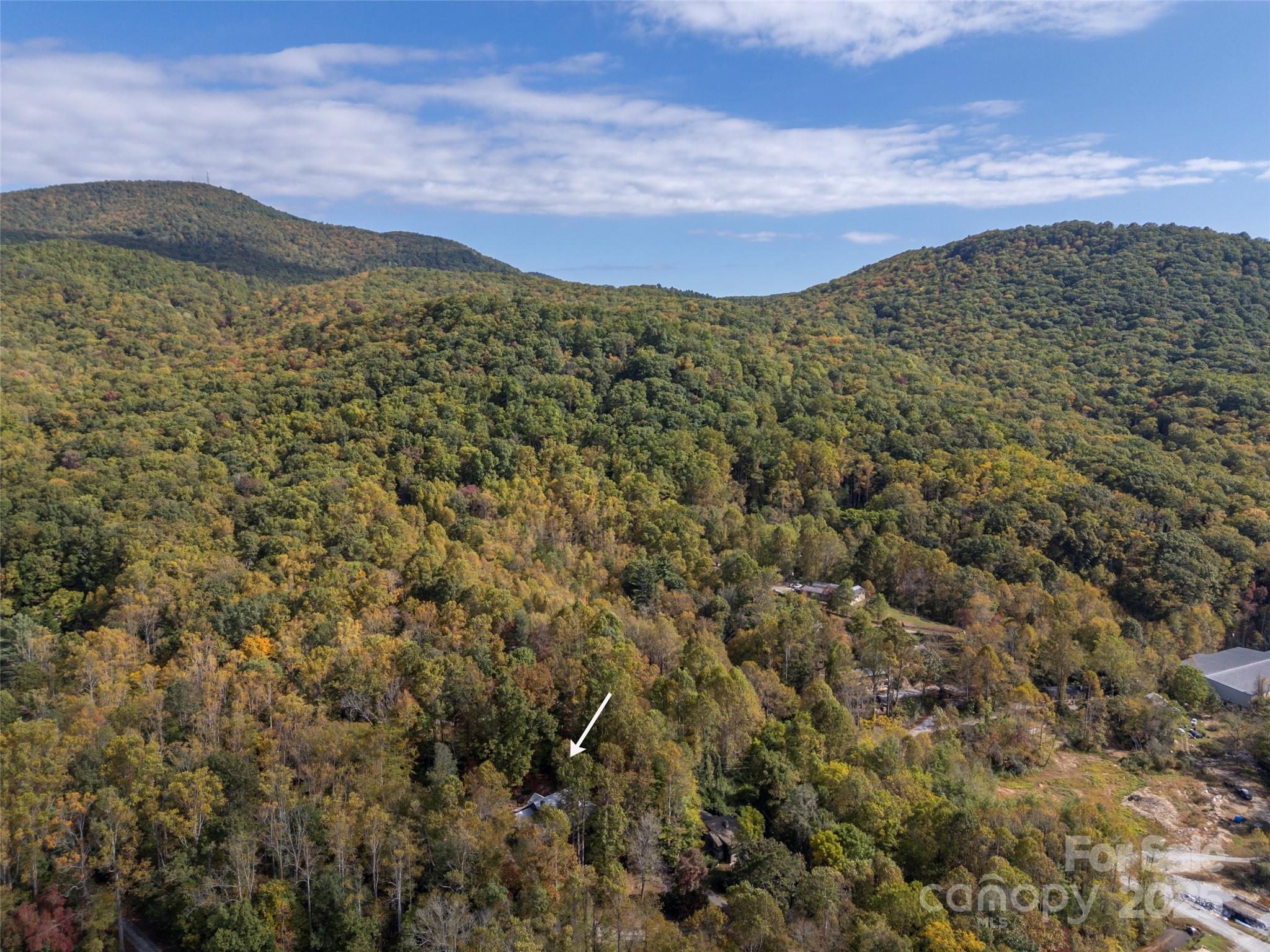 101 Windfall Circle Gerton, NC 28735 - Photo 43 of 48