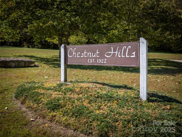 $598,500 | 101 Windfall Circle, Gerton, NC 28735