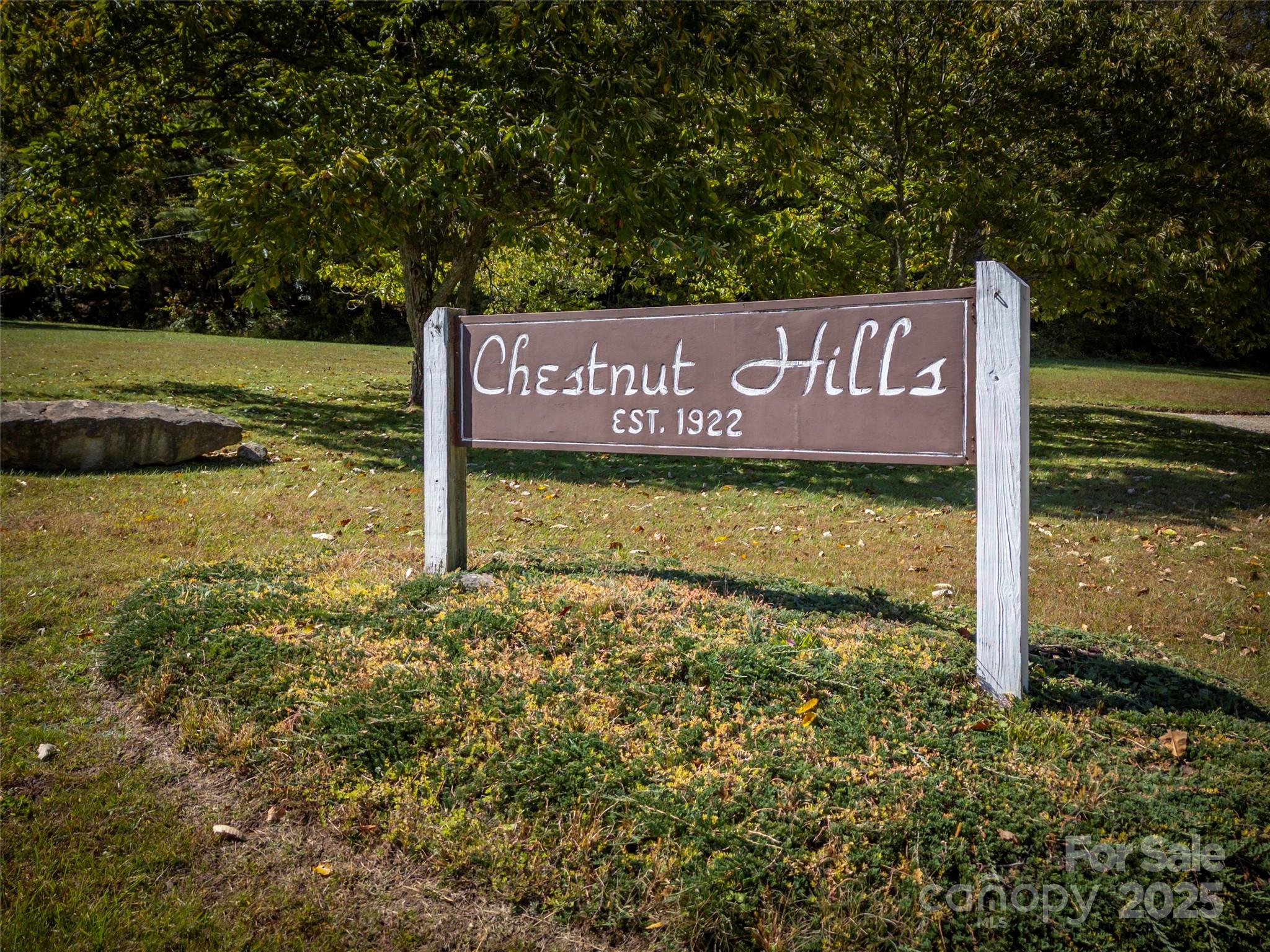 101 Windfall Circle Gerton, NC 28735 - Photo 47 of 48