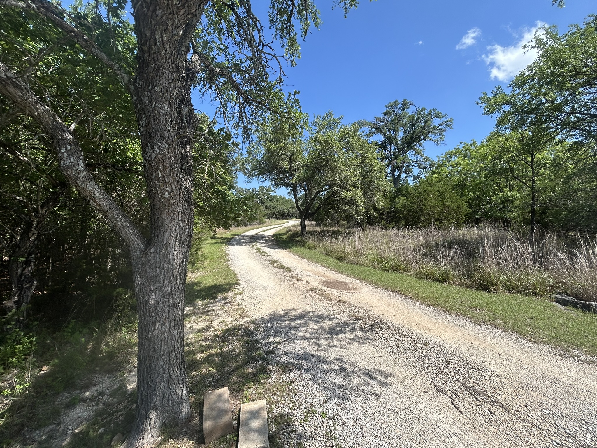 206 Wind Ridge Cove Georgetown, TX 78628 - Photo 7 of 19