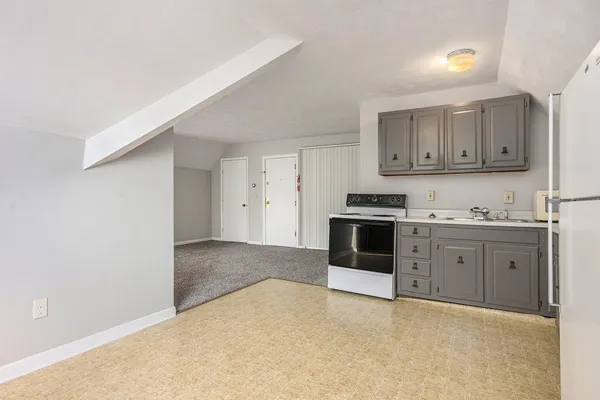 $1,000,000 | 316-324 Stuart Avenue, Kalamazoo, MI 49007