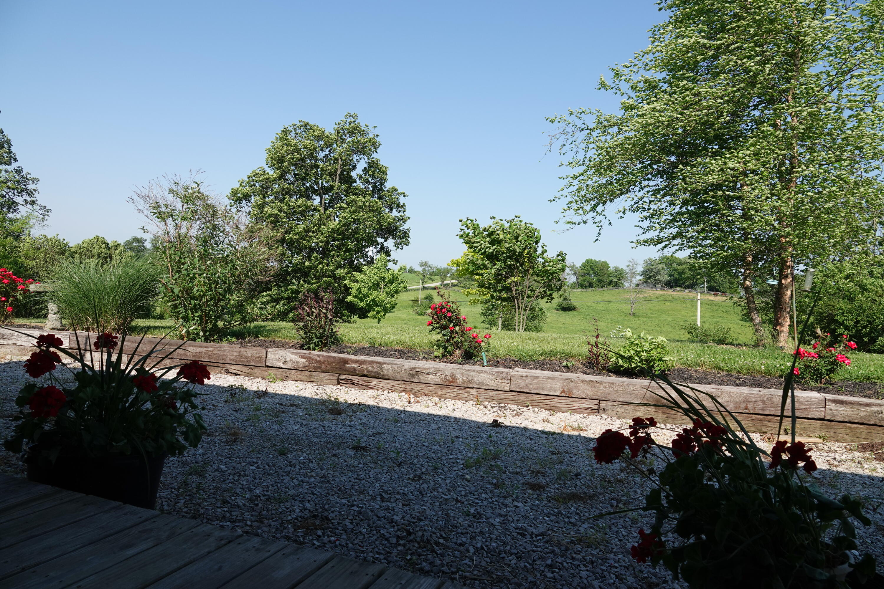 800 College Road Paris, KY 40361 - Photo 12 of 24 DSC00480