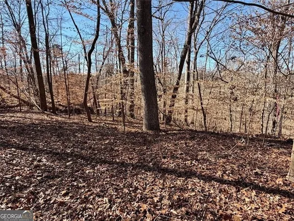 a view of a backyard of the house