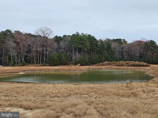 a view of a lake with houses in the background