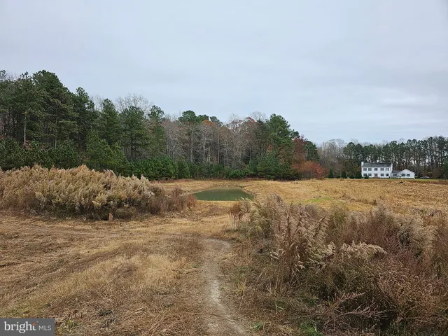 a view of mountain with lake view