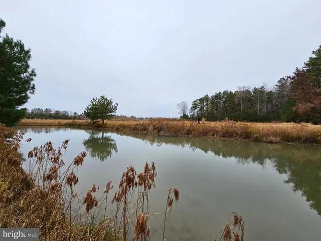 a view of city from balcony
