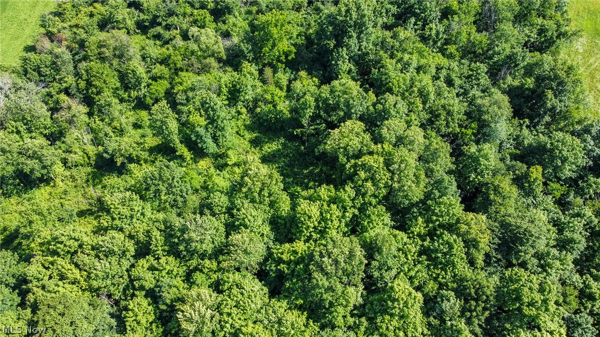 Holshoe Road Homerville, OH 44235 - Photo 12 of 28