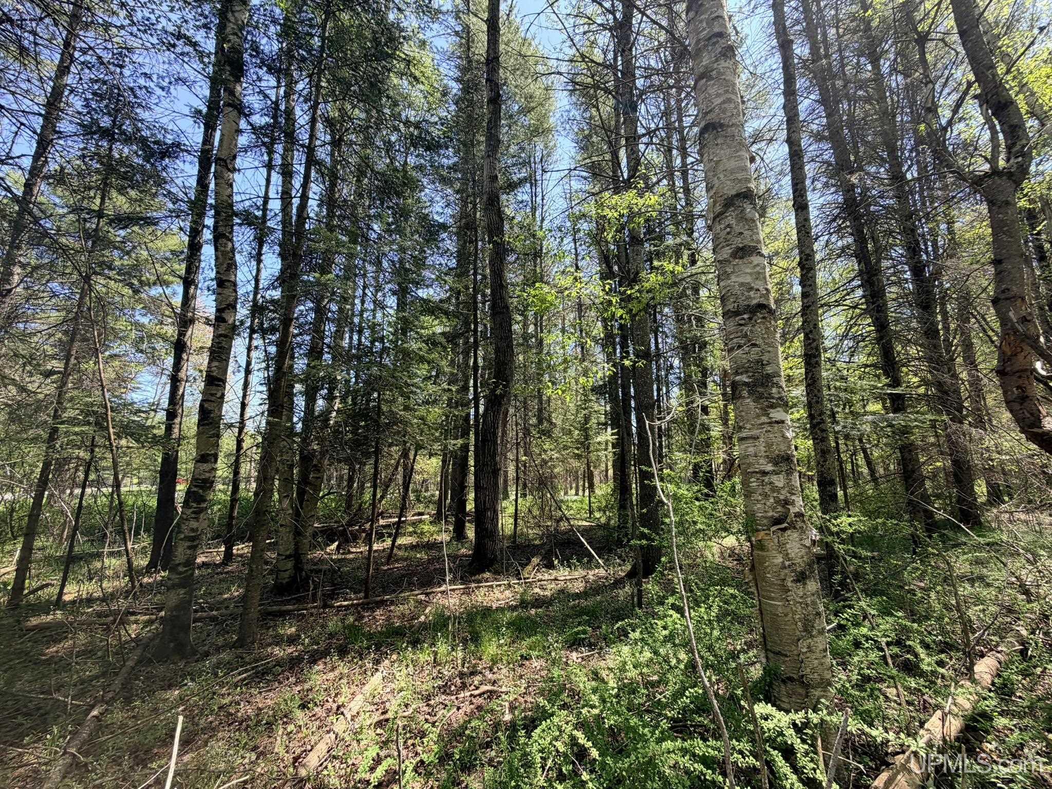 Tbd Pine Ridge Road Manistique, MI 49854 - Photo 19 of 20