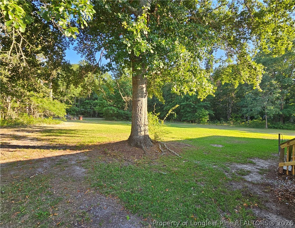 18420 Quicktown Road Hamlet, NC 28345 - Photo 33 of 40