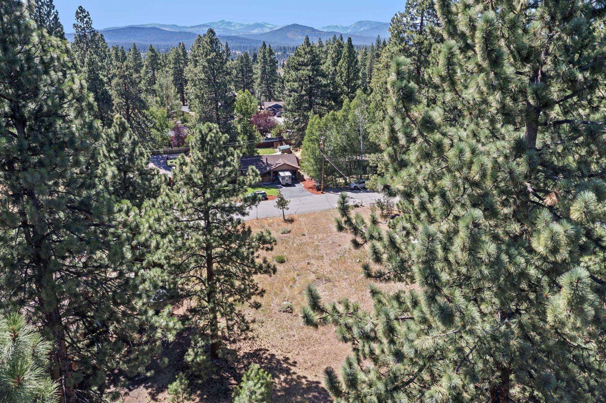 10583 Laburnham Circle Truckee, CA 96161 - Photo 2 of 14 a view of a forest with a tree in a background