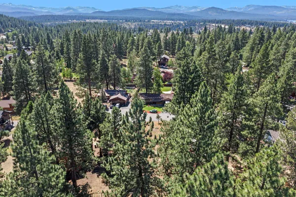 a view of a bunch of trees