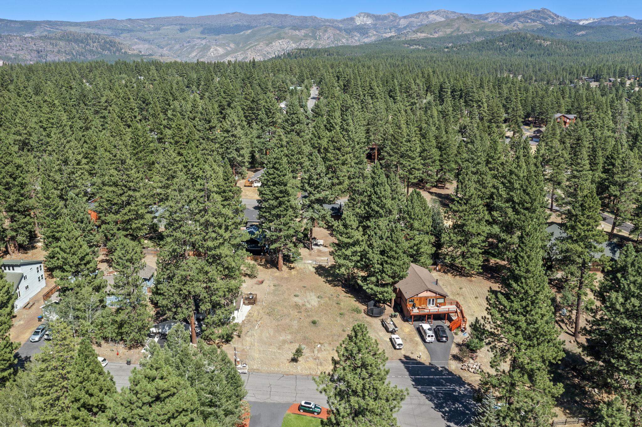 10583 Laburnham Circle Truckee, CA 96161 - Photo 9 of 14 an aerial view of a houses with a yard