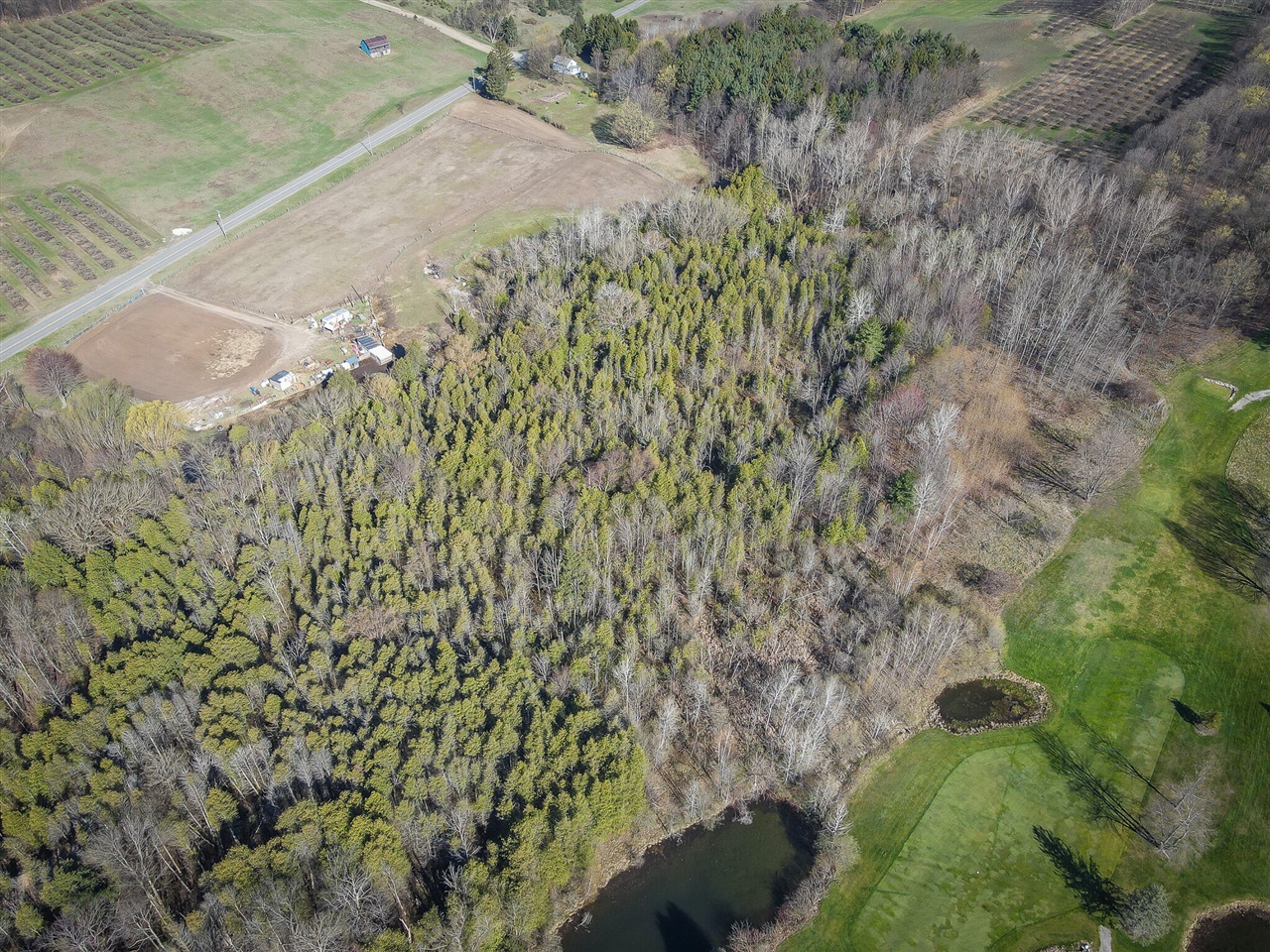 10 West Weaver Road Hesperia, MI 49421 - Photo 11 of 43