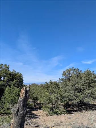 $10,000 | 606 Peaceful, Unit OVERLOOK, Crestone, CO 81131