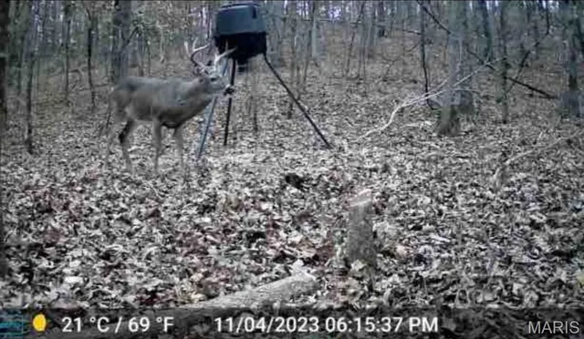 $8,000 | 0 Hwy 60 Van Buren Mo 63965, Van Buren, MO 63965