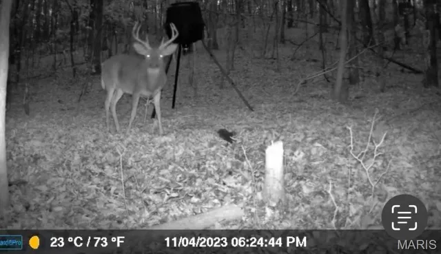 $8,000 | 0 Hwy 60 Van Buren Mo 63965, Van Buren, MO 63965