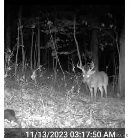 $8,000 | 0 Hwy 60 Van Buren Mo 63965, Van Buren, MO 63965