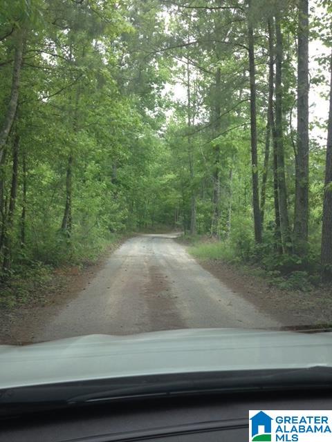 1180 Cox Cove Road Hayden, AL 35079 - Photo 1 of 15