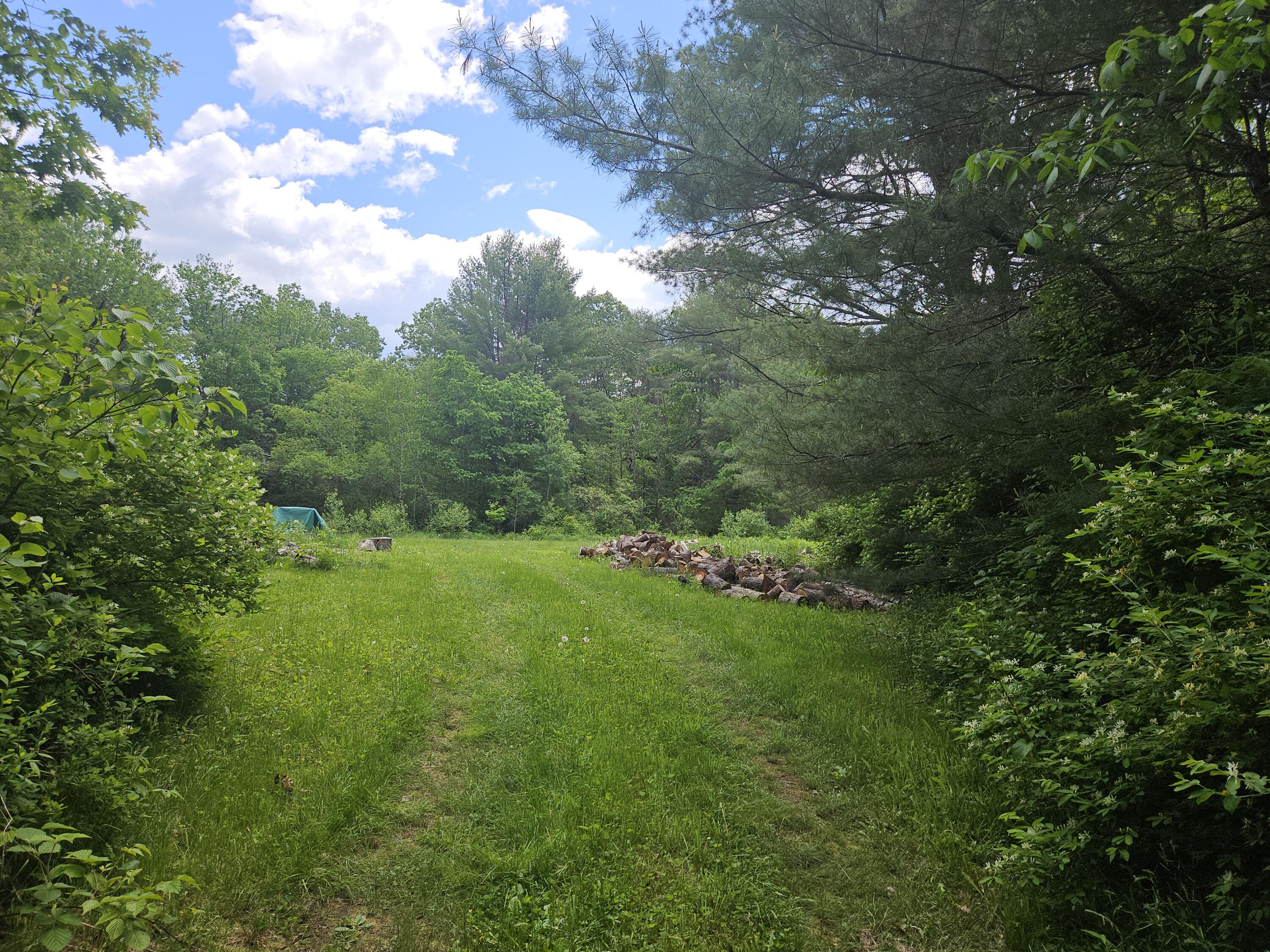 U08-003 Dutch Gap Road Chesterville, ME 04938 - Photo 10 of 21 20240531_121728