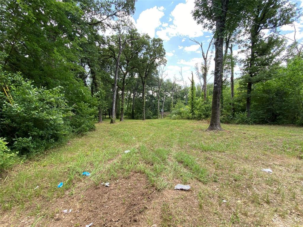136 Buffalo Springs Road Mabank, TX 75156 - Photo 3 of 12 View of yard
