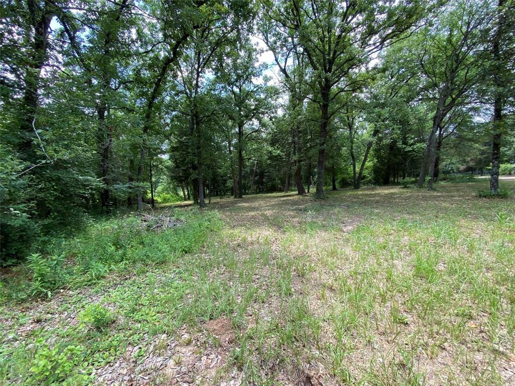 136 Buffalo Springs Road Mabank, TX 75156 - Photo 5 of 12 View of yard