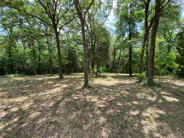 $15,000 | 136 Buffalo Springs Road, Mabank, TX 75156