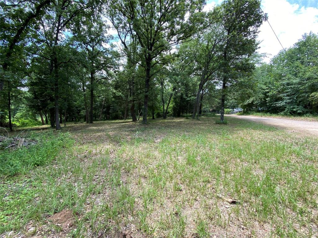 136 Buffalo Springs Road Mabank, TX 75156 - Photo 7 of 12 View of yard