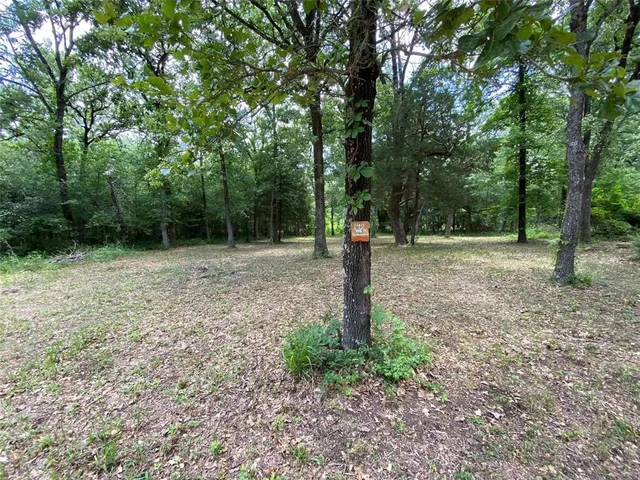 $15,000 | 136 Buffalo Springs Road, Mabank, TX 75156