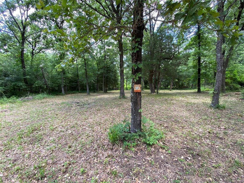 136 Buffalo Springs Road Mabank, TX 75156 - Photo 8 of 12 View of yard