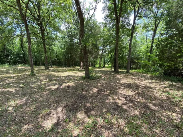 $15,000 | 136 Buffalo Springs Road, Mabank, TX 75156