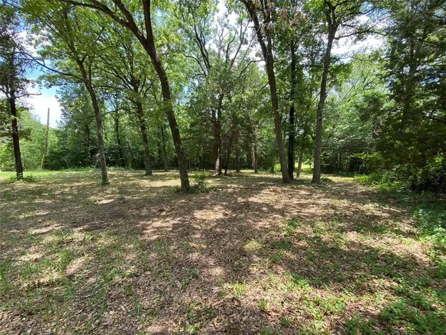 $15,000 | 136 Buffalo Springs Road, Mabank, TX 75156