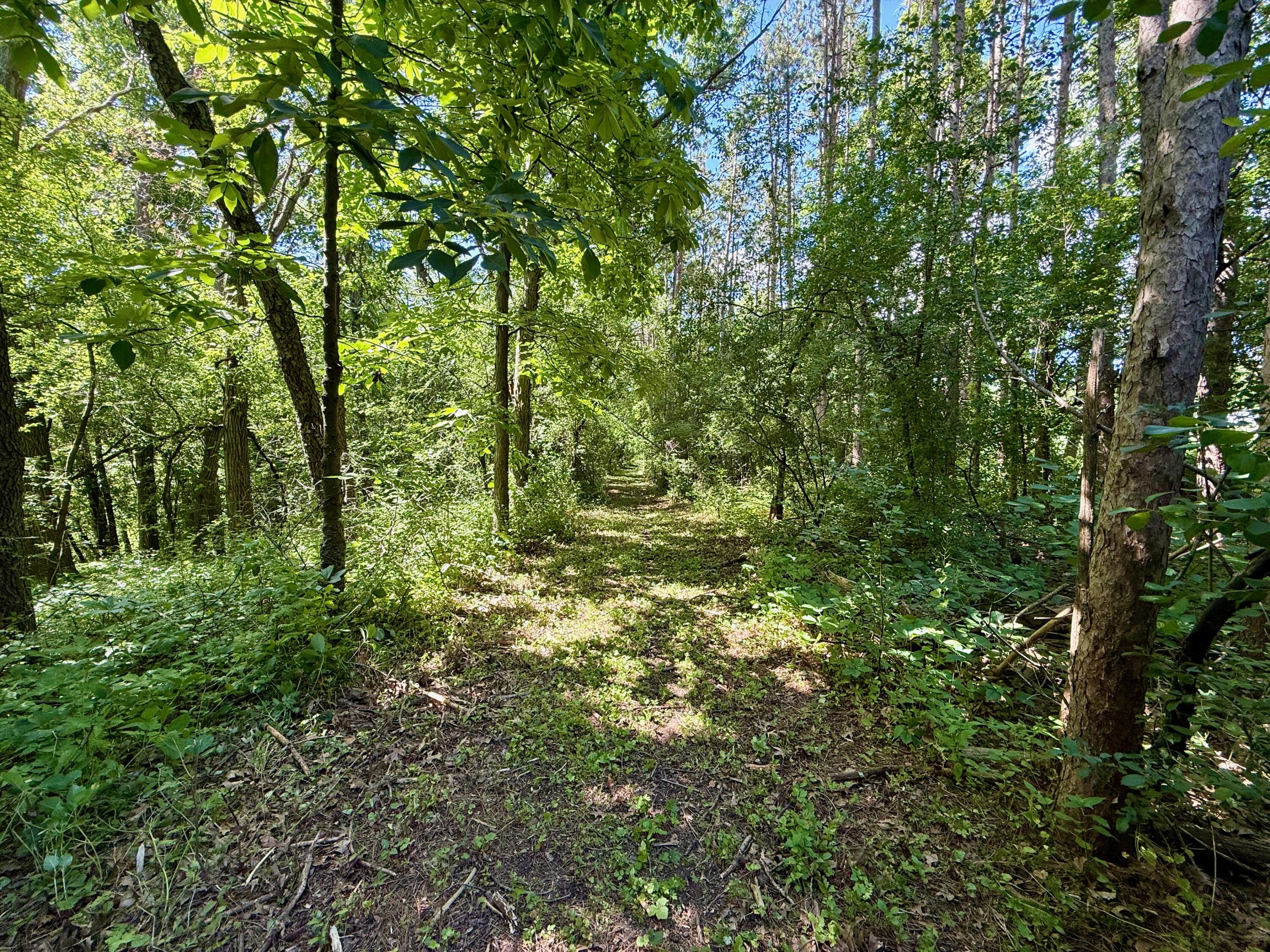 1787 Strawberry Road Deerfield, WI 53531 - Photo 18 of 25 1787 Strawberry Rd - 18 of 24