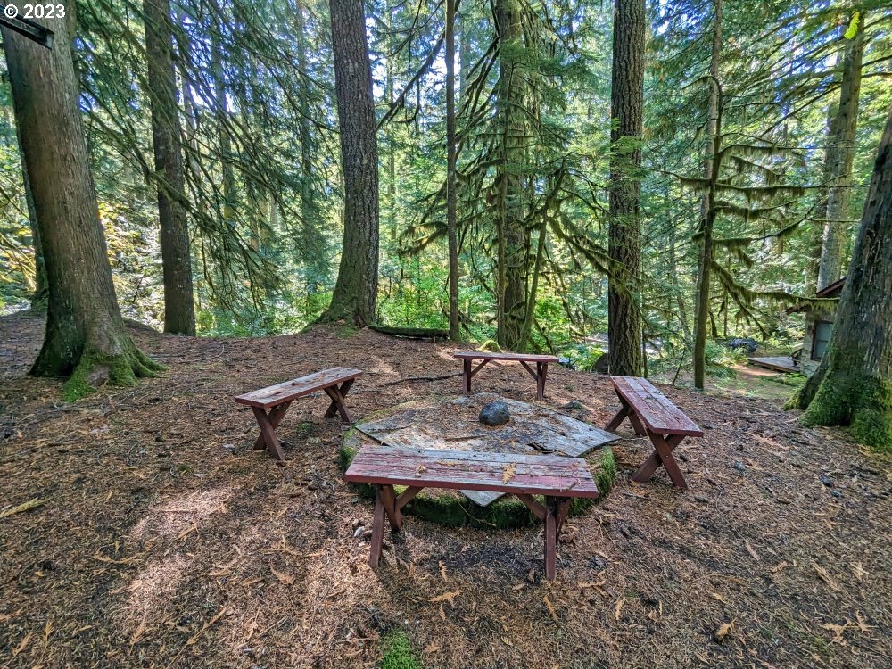 79128 Road 35 A Rhododendron, OR 97049 - Photo 32 of 36 a view of a backyard with sitting area