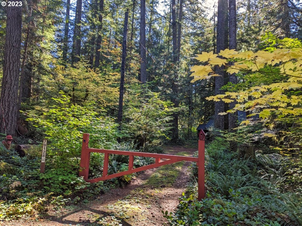 79128 Road 35 A Rhododendron, OR 97049 - Photo 34 of 36 a view of a yard with plants