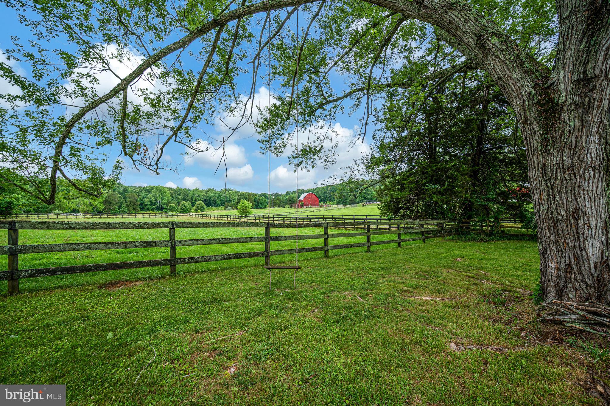 6317 Louisianna Road Locust Grove, VA 22508 - Photo 46 of 57 Fenced in areas ready for your farm animals!