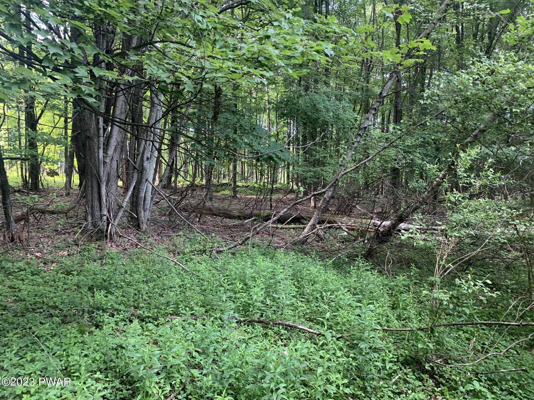 Rosengrant Road Lake Ariel, PA 18436 - Photo 2 of 5