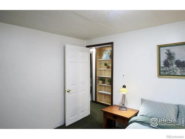 a view of a bedroom with furniture and window