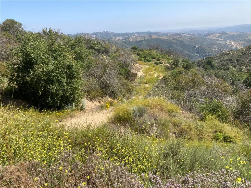 5 Crumley Court Temecula, CA 92590 - Photo 11 of 21 a view of a lush green forest with couple of houses
