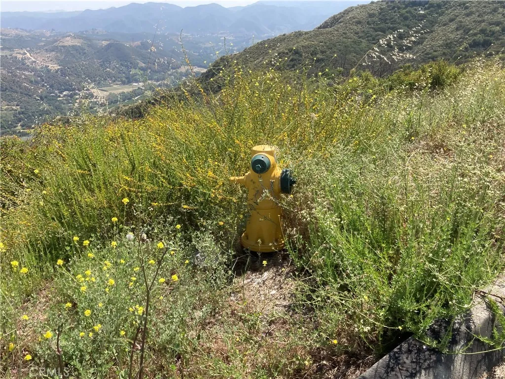 5 Crumley Court Temecula, CA 92590 - Photo 18 of 21 a view of a forest