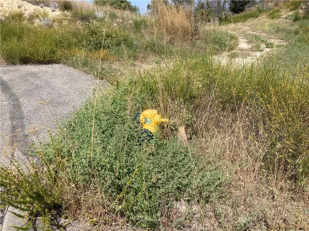 5 Crumley Court Temecula, CA 92590 - Photo 19 of 21 a backyard of a house with lots of green space