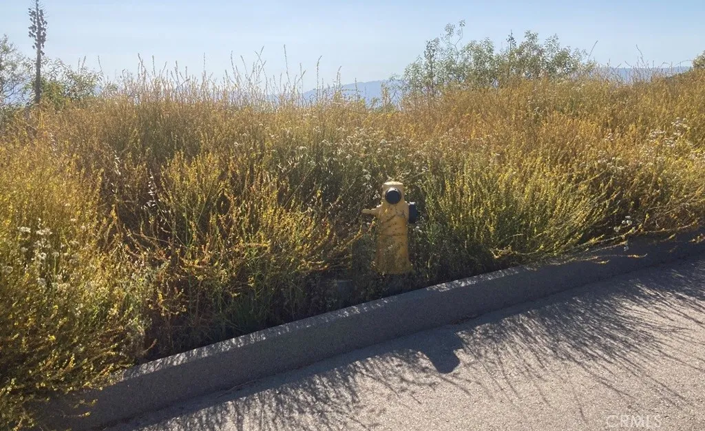 5 Crumley Court Temecula, CA 92590 - Photo 20 of 21 a view of a yard