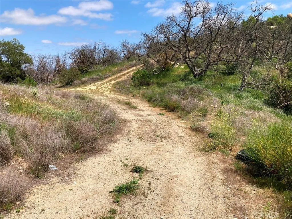 5 Crumley Court Temecula, CA 92590 - Photo 3 of 21 a view of a yard with a tree