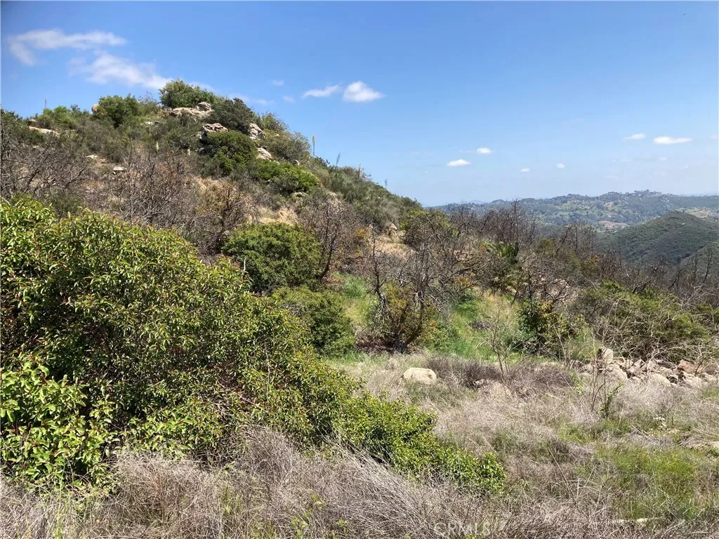 5 Crumley Court Temecula, CA 92590 - Photo 5 of 21 a view of a forest with a mountain in the background