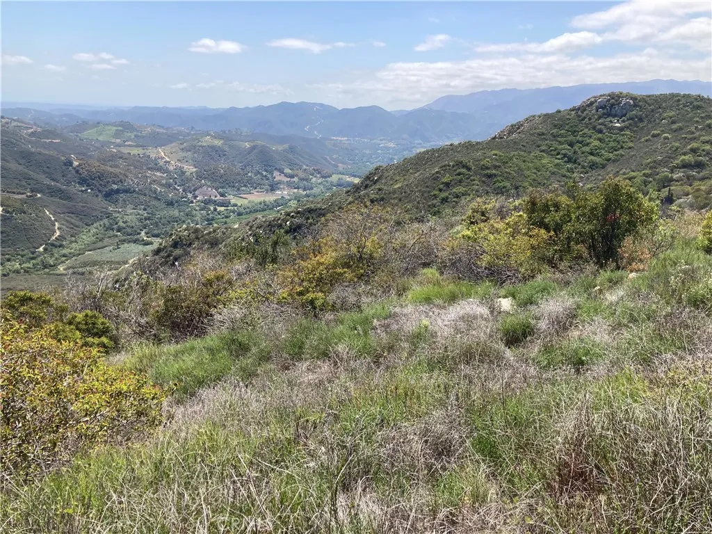 5 Crumley Court Temecula, CA 92590 - Photo 8 of 21 a view of a forest with mountains in the background