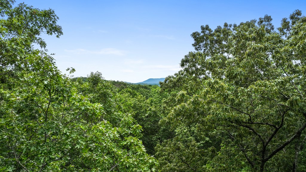 23 Chestnut Hills Lane Blue Ridge, GA 30513 - Photo 5 of 50 trim trees yr round wide range mtn view