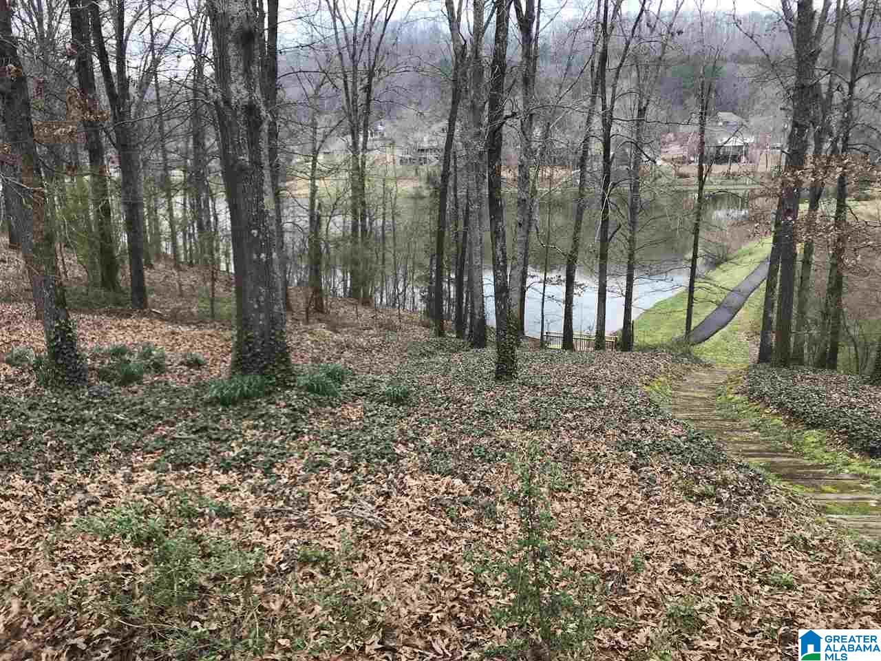320 Macdonald Lake Road Springville, AL 35146 - Photo 3 of 34